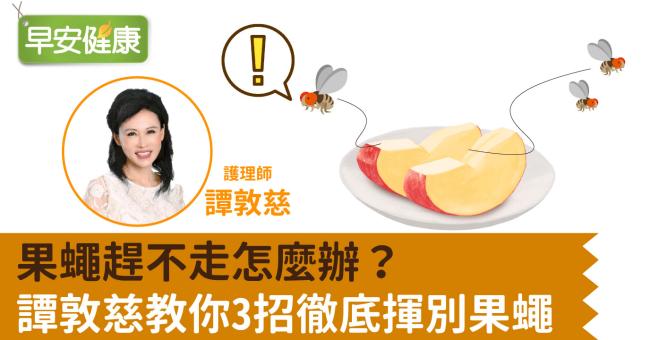 果蠅消滅大作戰：自製除果蠅餌劑，廚餘水果不再長果蠅！