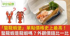 「螯龍蝦堡」單點價格史上最高！螯龍蝦是龍蝦嗎？外觀價錢比一比