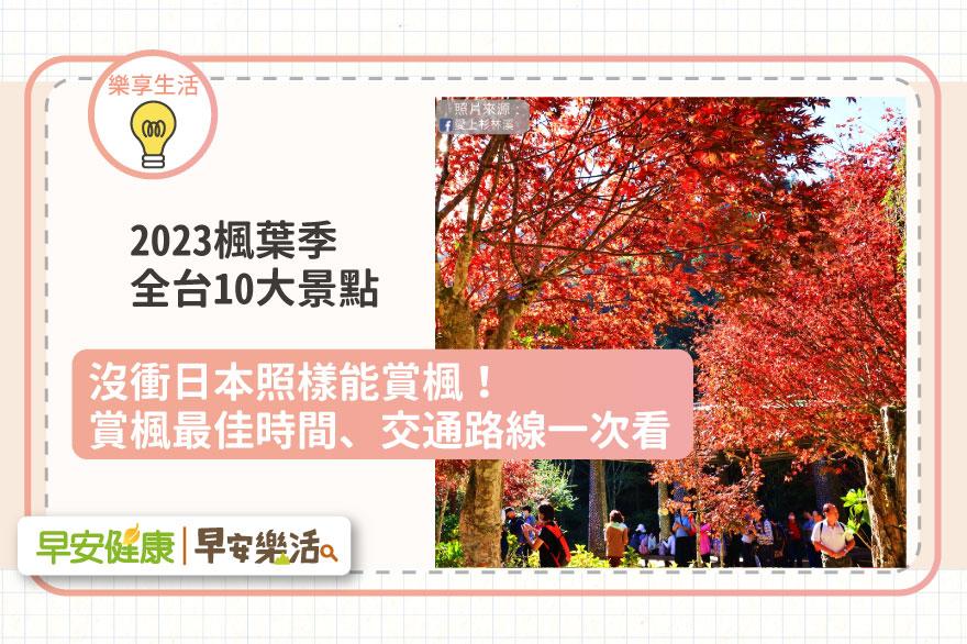 沒衝日本照樣能賞楓！2023楓葉季全台10大景點，賞楓最佳時間、交通路線一次看