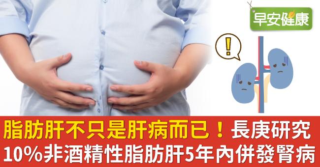 脂肪肝不只是肝病而已！長庚研究：10％非酒精性脂肪肝5年內併發腎病