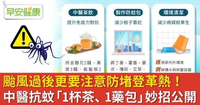 颱風過後更要注意防堵登革熱！中醫抗蚊「1杯茶、1藥包」妙招公開