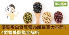 優質蛋白質豆種VS雜糧豆大不同！4型營養圖鑑全解析
