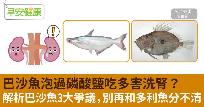 巴沙魚泡過磷酸鹽吃多害洗腎？解析巴沙魚3大爭議，別再和多利魚分不清