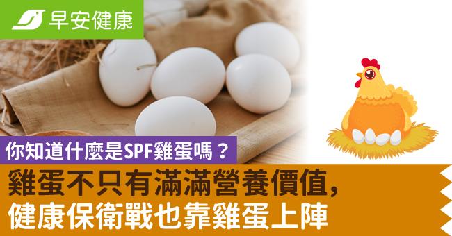 你知道什麼是SPF雞蛋嗎？雞蛋不只有滿滿營養價值，健康保衛戰也靠雞蛋上陣