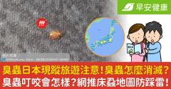 臭蟲日本現蹤旅遊注意！臭蟲怎麼消滅？臭蟲叮咬會怎樣？網推床蝨地圖防踩雷！