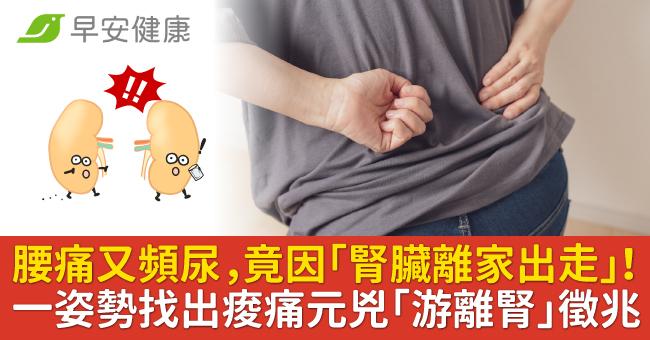 腰痛又頻尿，竟因「腎臟離家出走」！一姿勢找出痠痛元兇「游離腎」徵兆