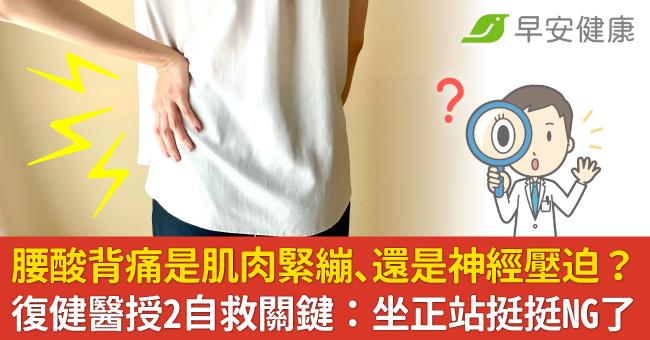 腰酸背痛是肌肉緊繃、還是神經壓迫？復健醫授2自救關鍵：坐正站挺挺NG了