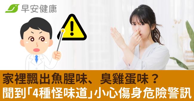 家裡飄出魚腥味、臭雞蛋味？聞到「4種怪味道」小心傷身危險警訊