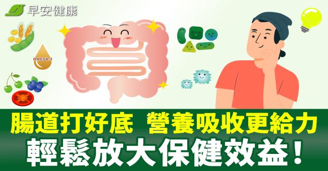 腸道打好底，營養吸收更給力，輕鬆放大保健效...