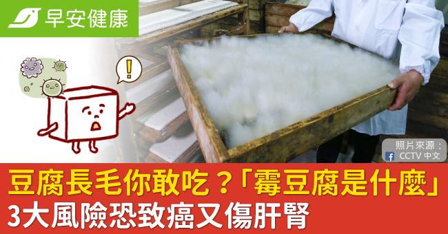 爆紅「霉豆腐」是什麼？豆腐發霉長毛你敢吃？3大風險致癌傷肝腎