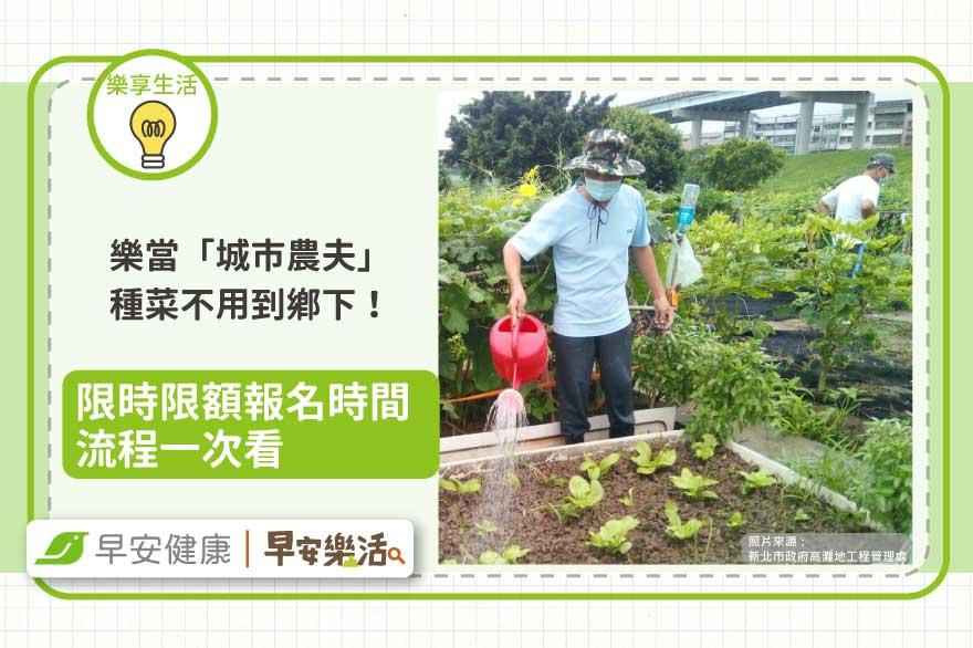 樂當「城市農夫」種菜不用到鄉下！限時限額報名時間流程一次看