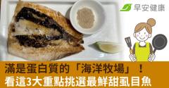 滿是蛋白質的「海洋牧場」！看這3大重點挑選最鮮甜虱目魚