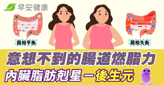 意想不到的腸道燃脂力，內臟脂肪剋星－後生元