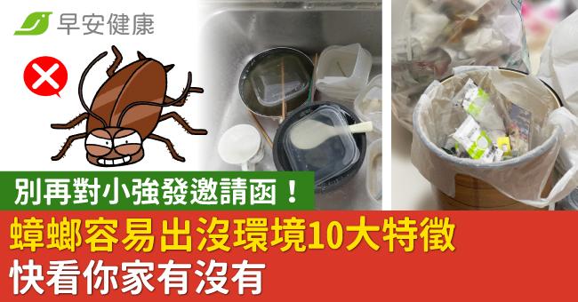 別再對小強發邀請函！蟑螂容易出沒環境10大特徵快看你家有沒有