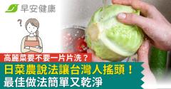 高麗菜要不要一片片洗？日菜農說法讓台灣人搖頭！最佳做法簡單又乾淨