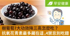 樹葡萄7大功效降三高怎麼吃？抗氧花青素最多藏在這，4禁忌別吃錯