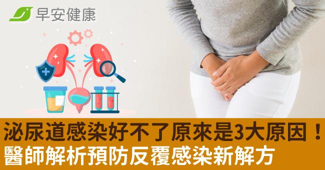 泌尿道感染好不了原來是3大原因！北醫權威曝「預防反覆感染新解方」