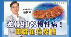 吃不甜的麵包卻像在喝糖水！逆轉90％慢性病，關鍵在粒線體