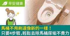 不靠馬桶刷、清潔劑輕鬆除尿垢！專家4步驟讓馬桶比新的還乾淨