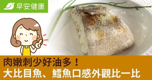 肉嫩刺少好油多！大比目魚、鱈魚口感外觀比一比