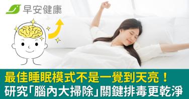 最佳睡眠模式不是一覺到天亮！研究找出「腦內大掃除」關鍵排毒更乾淨