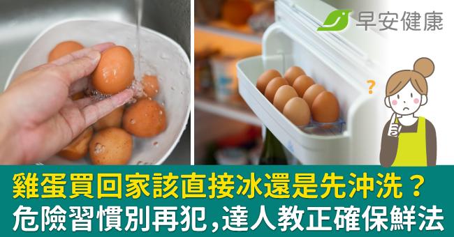 雞蛋買回家該直接冰還是先沖洗?危險習慣別再犯,達人教正確保鮮法