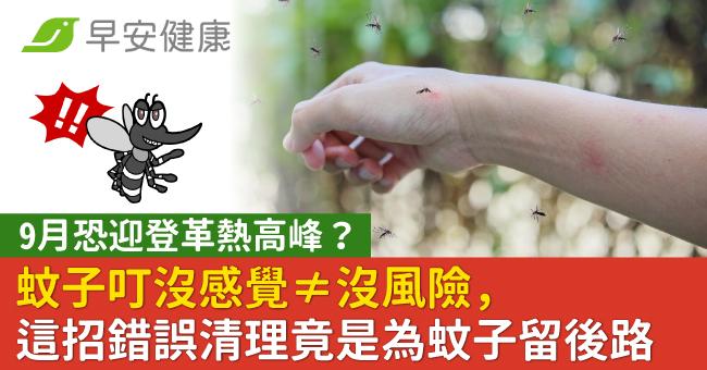 9月恐迎登革熱高峰?蚊子叮沒感覺≠沒風險,這招錯誤清理竟是為蚊子留後路